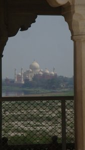 Taj Views