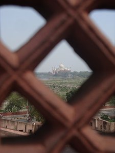 Taj Views