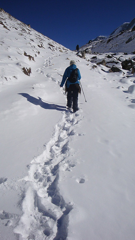 Following the Snow Trail