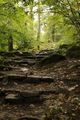 Waterfall Walk