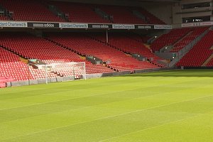 Perfect Grass At Anfield