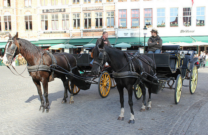 Horse And Cart Tours