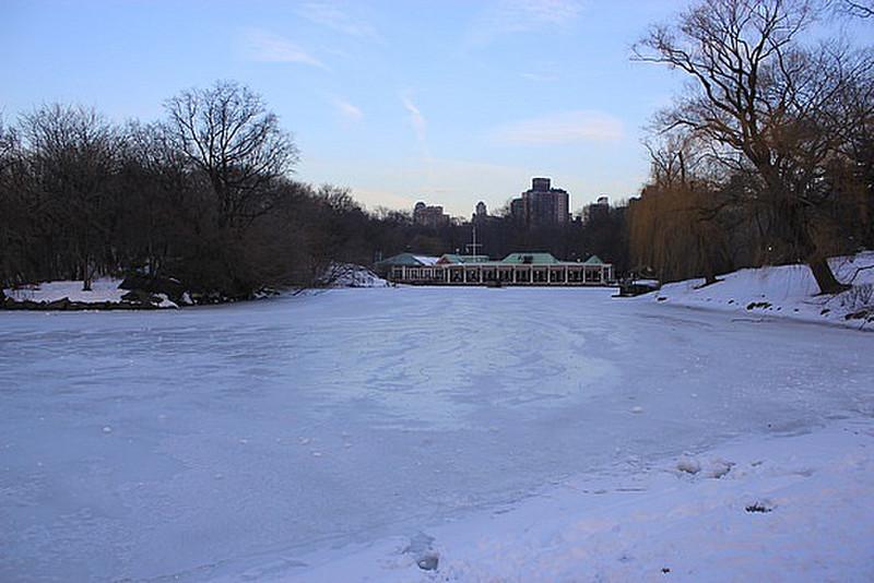 Frozen Lake In Central Park
