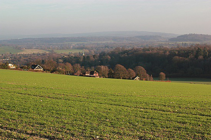 Looking To The Surrey Countryside