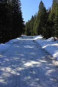 Morskie Oko Walk Frozen Road