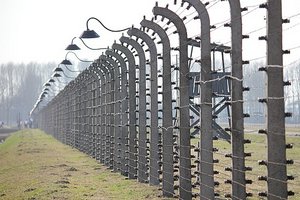 Birkenau Fences