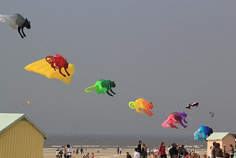 Kite Festival Berck Sur Mer