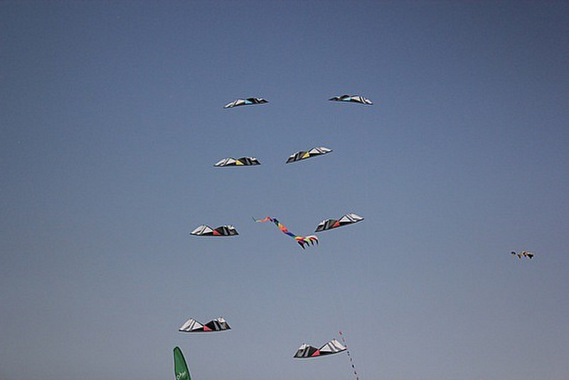 Kite Festival Berck Sur Mer