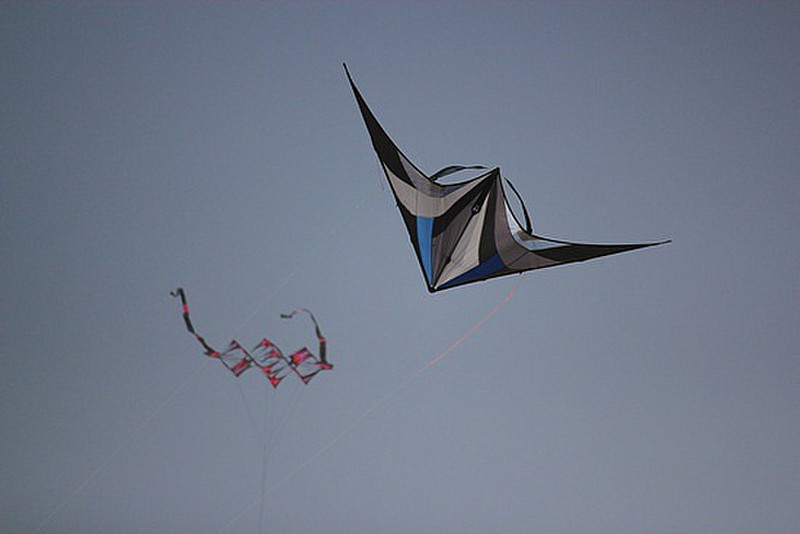 Kite Festival Berck Sur Mer World Number One