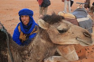 Guide And Camel