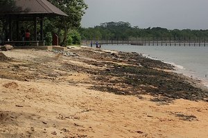Palau Ubin Beach