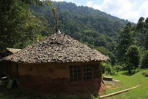 Mud Hut With A Leaf Roof