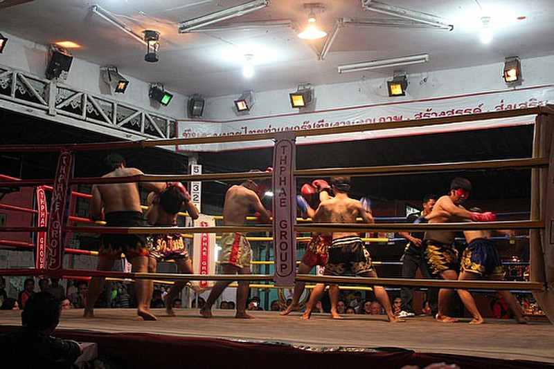 Special Muay Thai Fight