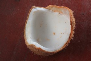 Our Coconut