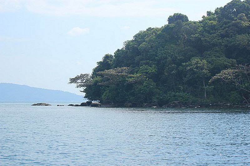 Bushy Islands