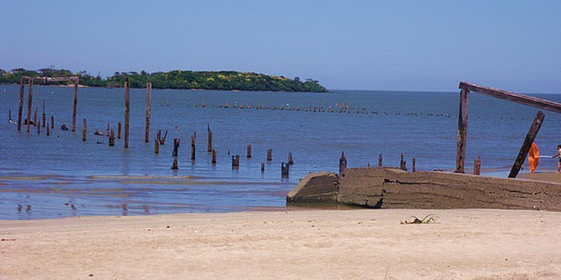 Playa del Real de San Carlos, Colonia
