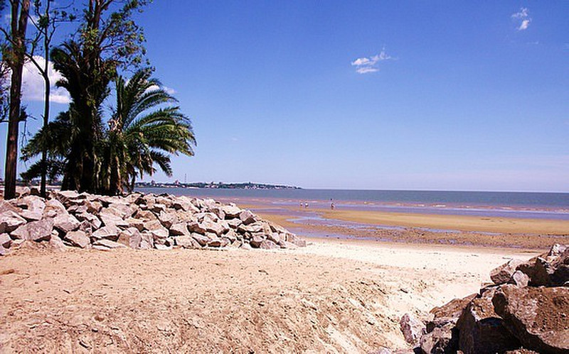 Playa del Real de San Carlos, Colonia