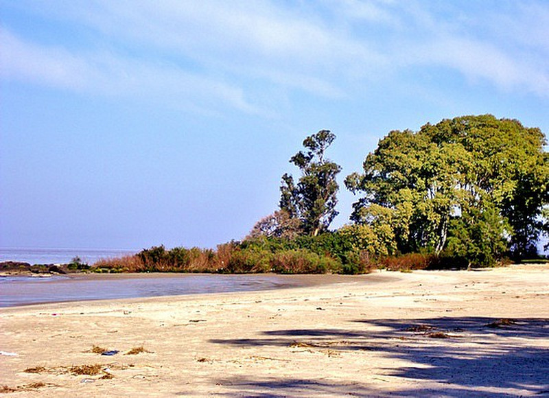 One of the beaches in Colonia