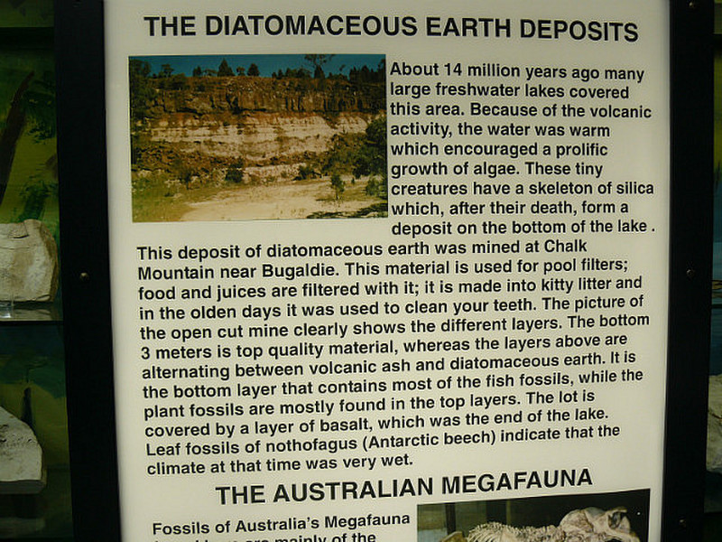 Information on the Diatomaceous Earth Deposits