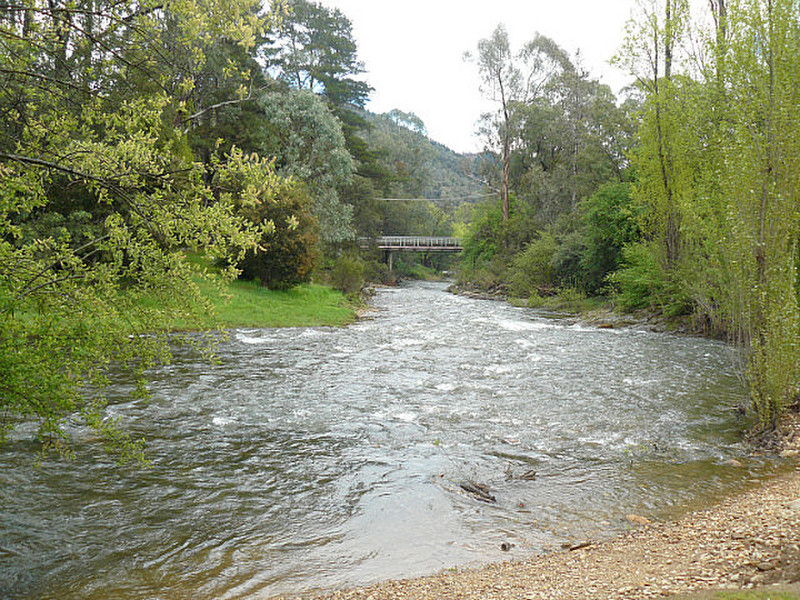 The Bridge over the Ovens River
