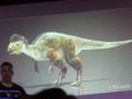 The Latest Dinosaur Found in Australia