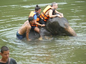 Bath for the Elephant and the riders