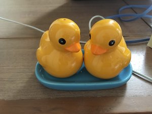 Ducks for Pom