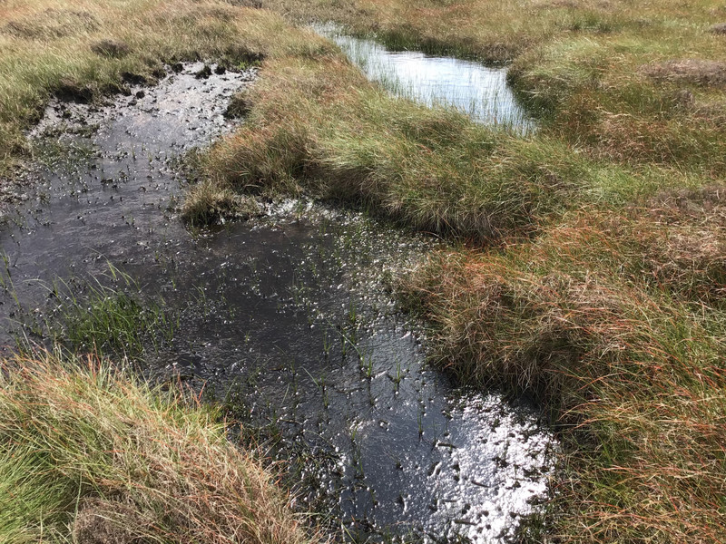 The boggy peat moors. 