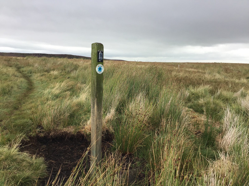 And up onto the high dales. The signposts are more helpful than they seem.