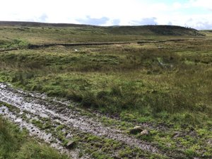 Just part of the sloppy moors. The track is by far the driest part in the shot.