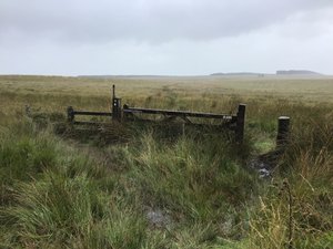 More and more of the wet moors.