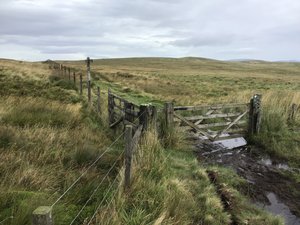 That’s the fence into Scotland.