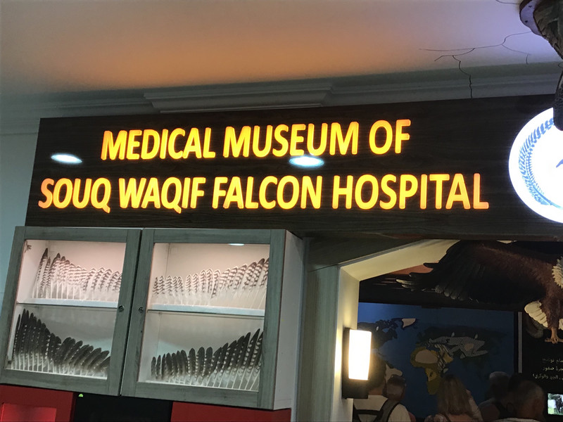 The falcon hospital.