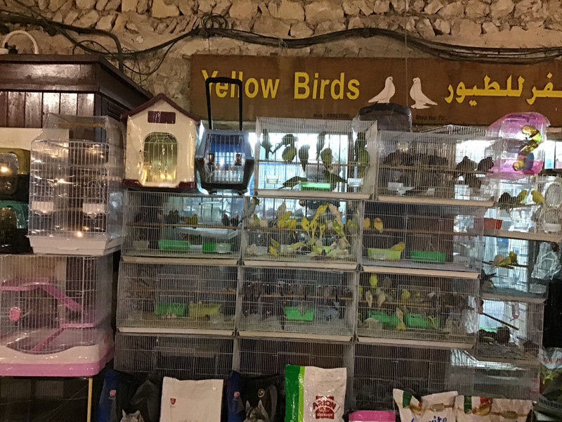The yellow bird shop.