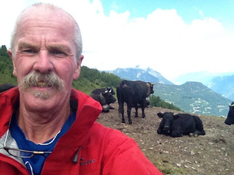 Swiss cows and Swiss views.