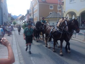 Small section of BIG Bavarian parade.