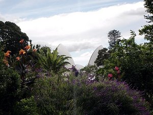 View from botanical gardens