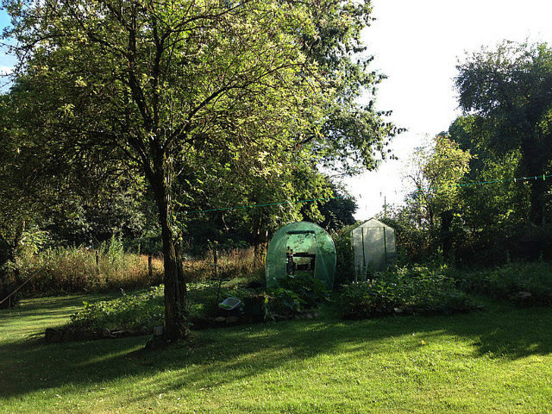 Allotment are of the garden