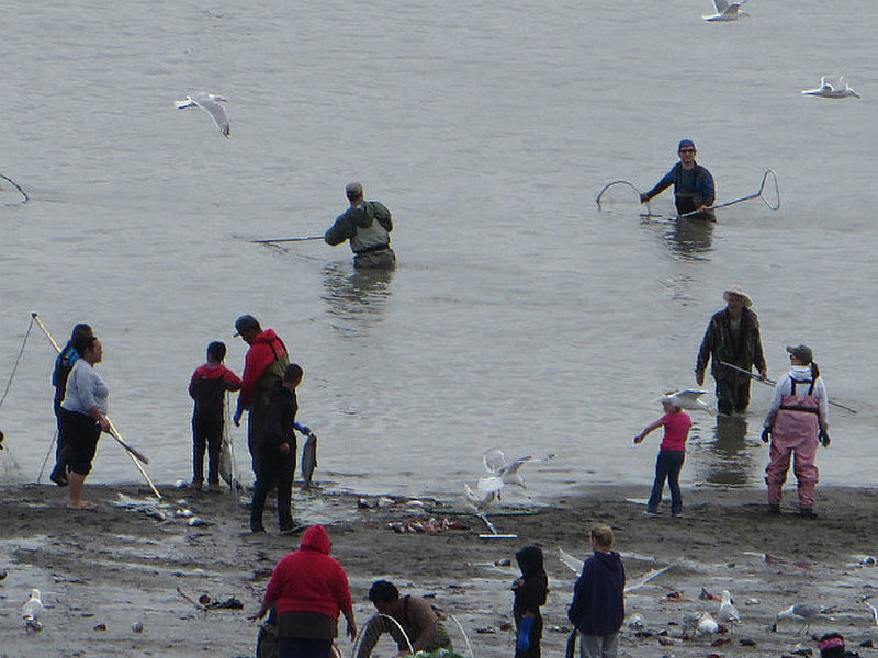 Dip Net fishermen
