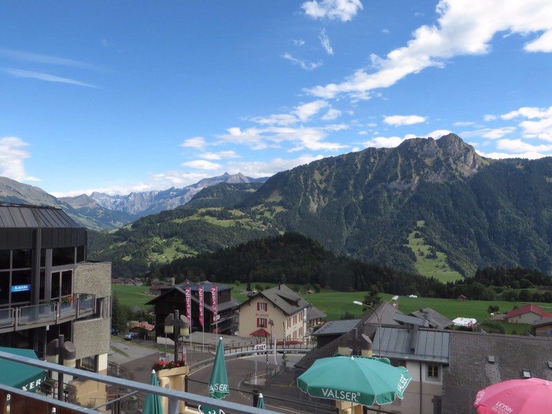 View from our terrace in Leysin