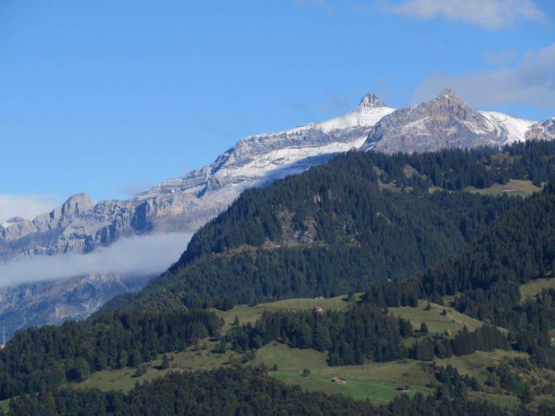 View from Leysin