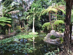 Coffs Harbours Botanical Gardens