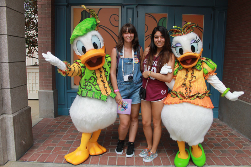 Donald and Daffy Duck