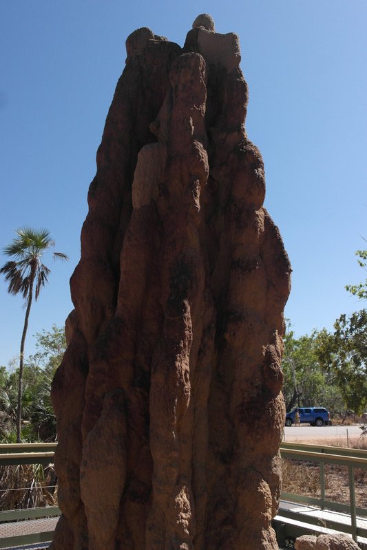 The Magnetic Termite Mound