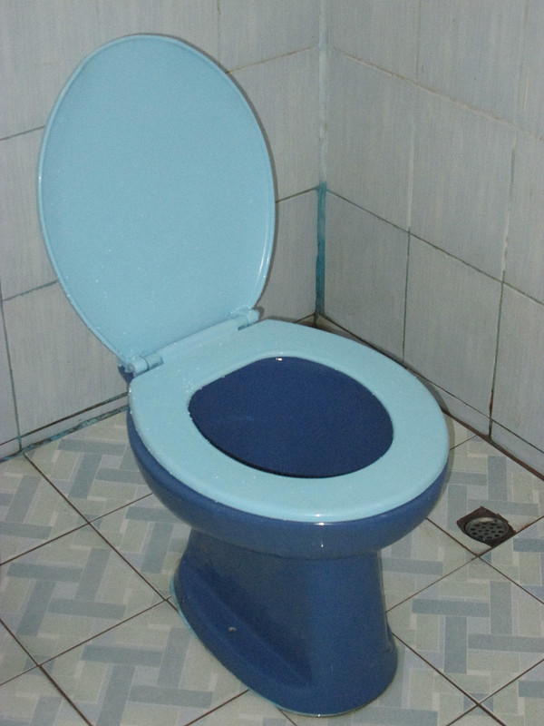 My wonderful new two-tone toilet ...