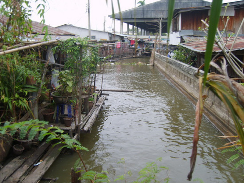 A flooded community