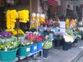 Flower market, Khon Kaen