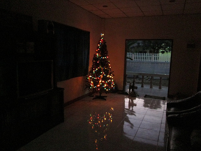 Up with the Christmas tree