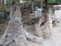 Tree root carvings