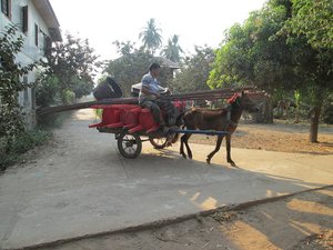 Rotei ses horse cart, Koh Trong